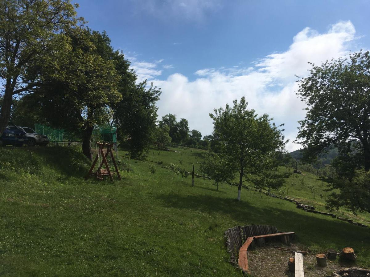 Rose Hip Hill Farm Bed & Breakfast Valea Tirnei Ngoại thất bức ảnh